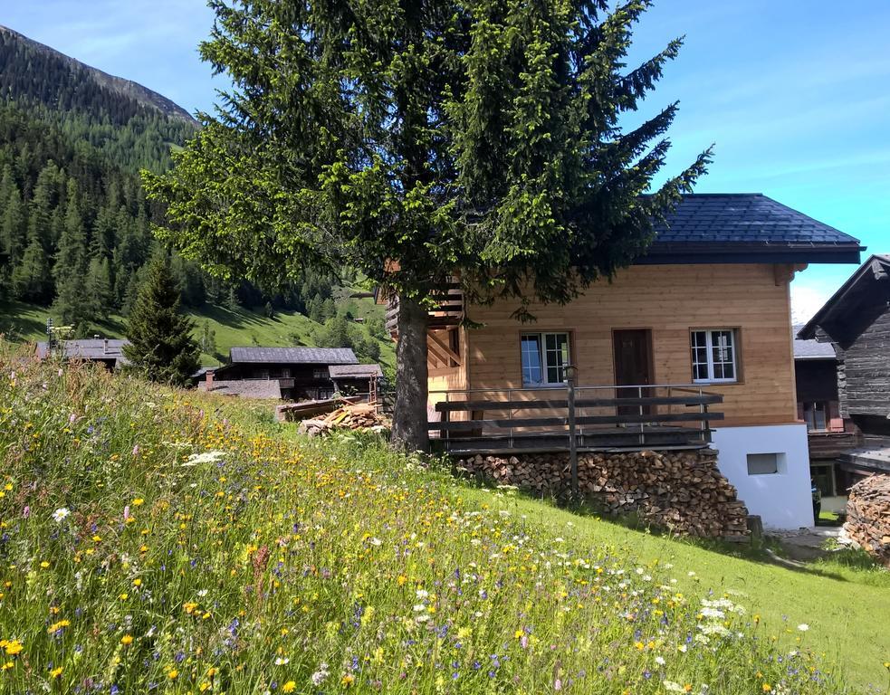 Chalet Daheim Reckingen Exterior foto